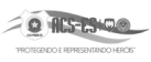 Logo ACS-ES